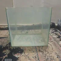 آکواریوم نو شیشه ۶ میل