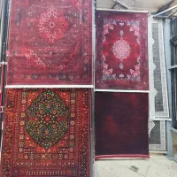 قالیچه گندم نگارین نخ امرولیک 700و1200شانه چهارمتر