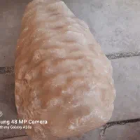 سنگ طبیعی آکواریوم|ماهی|کرج, کوی امامیه|دیوار