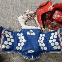 هوگو و کلاه تکواندو