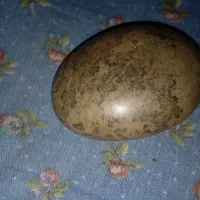 سنگ زیبا و طبیعی تراش نخورده|کلکسیون اشیاء عتیقه|خوی, |دیوار