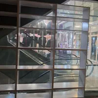 قفسه ام دی اف