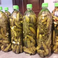 خیارشور محلی ترد و خوش طعم