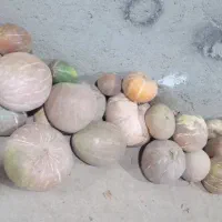 سلام کدوتنبل خوراکی شیرینو خوش مزه