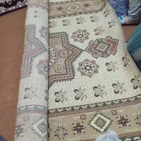 تمیز و سالم شسته شده