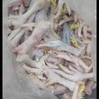 غذای حیوان،اسکلت مرغ،پا،دل،مرغ ضایعات|لوازم جانبی حیوانات|شیراز, مسلم|دیوار