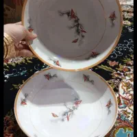 مرغ خوری گردو قطر۲۵