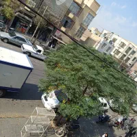 واحد تجاری ۴۷ متری بحر خیابان انقلاب