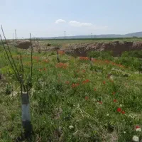 نیازمند ماشین از بندر گز