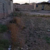 زمین|فروش زمین و ملک کلنگی|راین, |دیوار