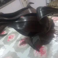 دو عدد لوستر لاله