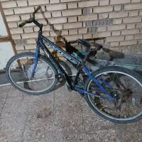 دوچرخه ۲۴ویوا