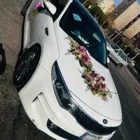 گل کاری،تزئین،ماشین عروس،دیزاین،گل ارایی|خدمات پذیرایی، مراسم|اهواز, زیتون کارگری|دیوار