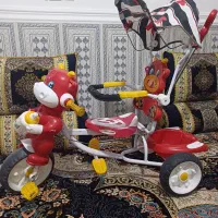 دوچرخه|دوچرخه، اسکیت، اسکوتر|یاسوج, |دیوار