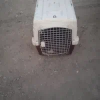 باکس خواب سگ