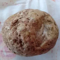 شهاب سنگ