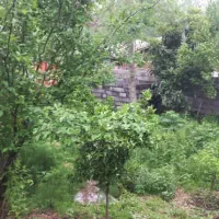 زمین با جواز ساخت|فروش زمین و ملک کلنگی|نشتارود, |دیوار