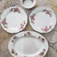 چینی گلسرخی گل سرخی