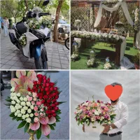 تاج گل،ماشین عروس،دسته گل عروس،خواستگاری|خدمات پذیرایی، مراسم|خمینی‌شهر, |دیوار