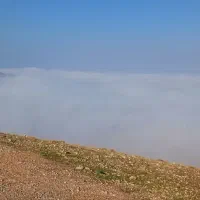 گمشده