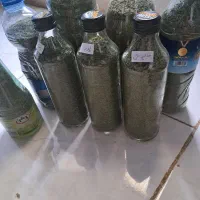 پونه وخالیواش خشک