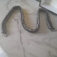 زنجیر۱۳۰ سانتی مناسب موتور ودوچرخه