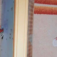 هود|هود|زاهدان, |دیوار