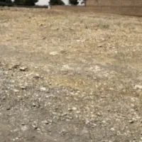 ۱۰۰متر زمین تعاونی کوی فراز