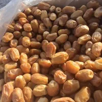 فروش خرمای زاهدی(قصب)