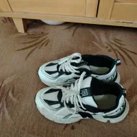 کفش مجلسی|کیف، کفش، کمربند|بوشهر, |دیوار