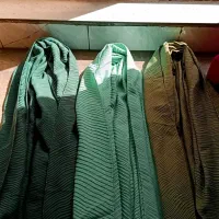 شال|لباس|بهارستان, |دیوار