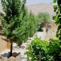 باغ شهری ۱۰۰۰ هزار متری شیراز باجگاه|فروش زمین و ملک کلنگی|شیراز, حومه شیراز|دیوار