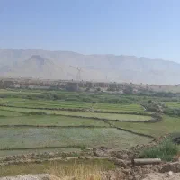 زمین برنجکاری