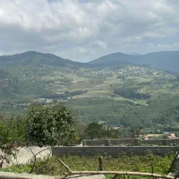 فروش زمین 160متری در امیرکلا ویو‌جنگل رودخونه