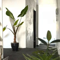 خوابگاه-پانسیون-پسرانه-زاگرس-جنب-متروی-ارم-سبز