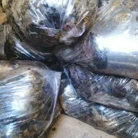 خرمای شیره دار