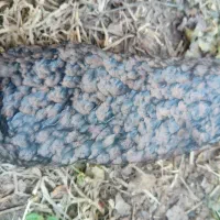 شهابسنگ|کلکسیون و سرگرمی|دلگان, |دیوار