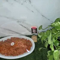 جذب یک نفرخانم جهت امورات نظافت پذیرایی شرکت