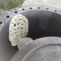 نیازمند شاطر جهت کبابی