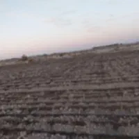 اجاره آب و زمین کشاورزی