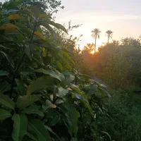 راهنمایی کنید