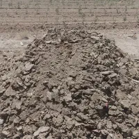 فروش کود عمده سالنی|عمدهفروشی|اصفهان, گورت|دیوار