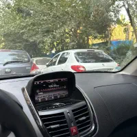 ۲۰۷ پاناروما دنده ای بی نقص