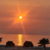 فروش زمین کنگان