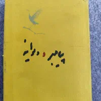 کتاب پیامبر و دیوانه