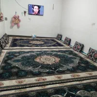 خانه مشترک|اجارهٔ خانه و ویلا|قم, شهید صیاد شیرازی|دیوار
