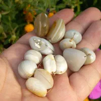 مهره برد عقیق ریز و|جواهرات|یاسوج, |دیوار