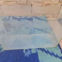 فروش فوری اکواریوم و تهجیزات|ماهی|رفسنجان, |دیوار