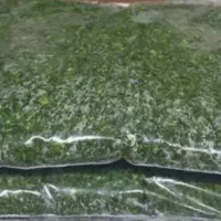سبزی مارکت سر گل