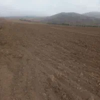 قطعه-زمین-زراعی